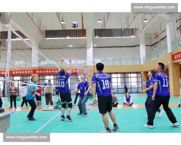 聚焦排球冠军赛见证巅峰对决与团队精神的荣耀时刻书写新时代竞技传奇